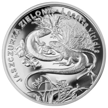 20 zł, Zwierzęta świata - Jaszczurka zielona (łac. Lacerta viridis), 2009