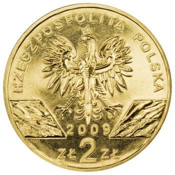 2 zł, Zwierzęta świata - Jaszczurka zielona (łac. Lacerta viridis), 2009